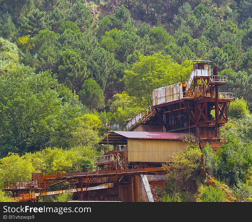 Nature, Track, Transport, Vegetation