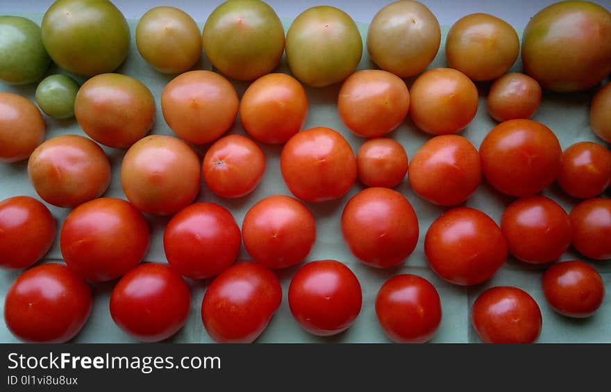 Natural Foods, Plum Tomato, Fruit, Vegetable