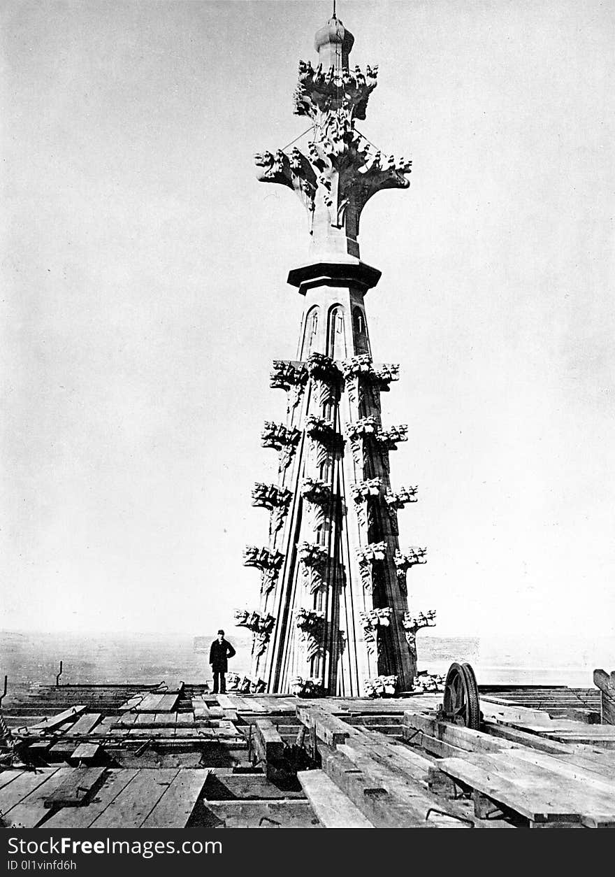 Black And White, Tree, Tower, Monochrome Photography