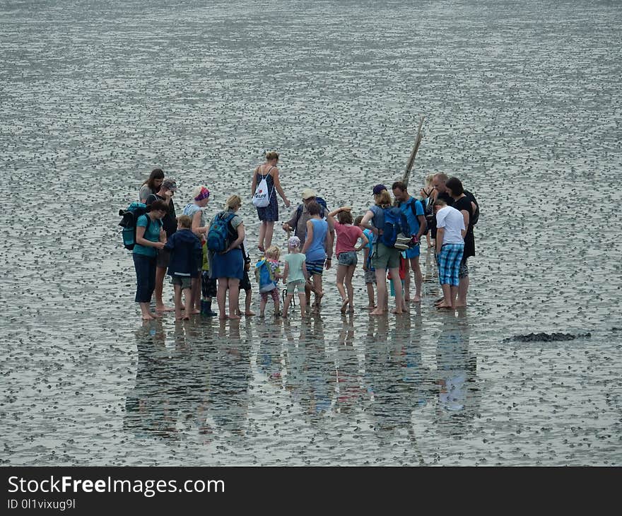 Water, Sea, Fun, Leisure