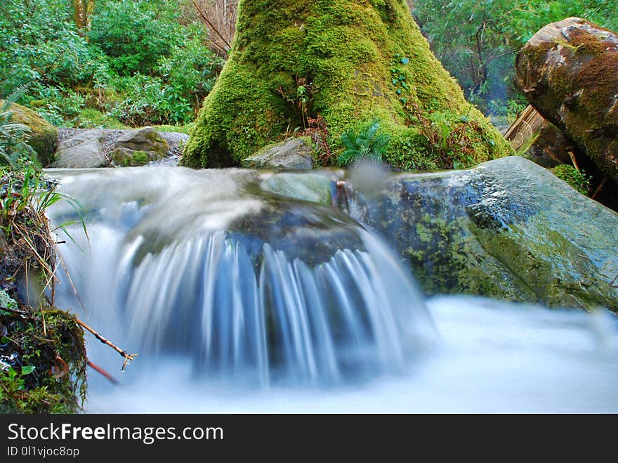 Water, Nature, Waterfall, Watercourse