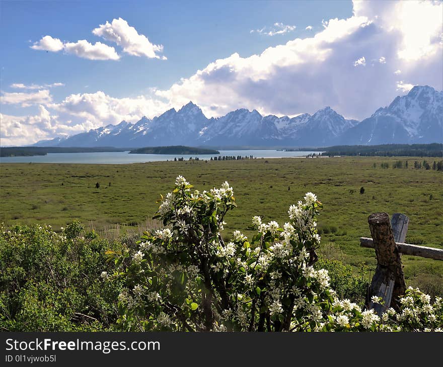 Wilderness, Ecosystem, Grassland, Sky