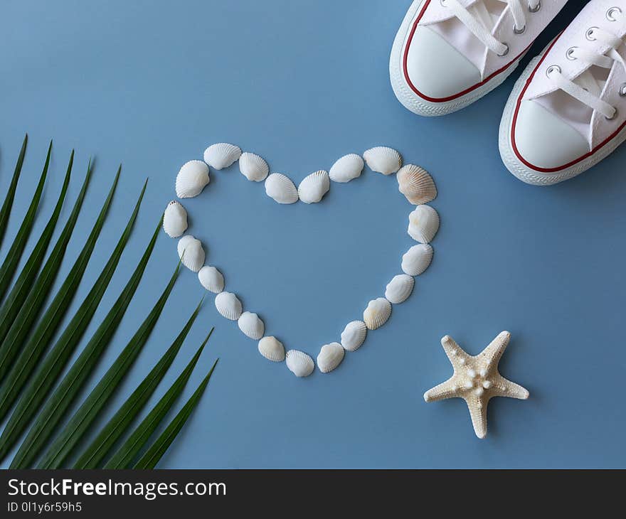 Shells, sea ster, sneakers and tropical leaf on the sea blue background. Minimal summer. Hipster vibes. Shells, sea ster, sneakers and tropical leaf on the sea blue background. Minimal summer. Hipster vibes.