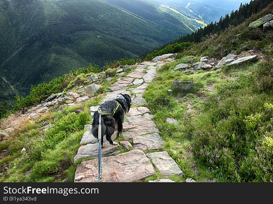 Kozi Hrbety- Krkonose National Park In Czech Republic