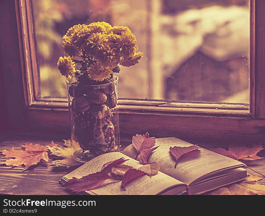 Near the rainy window with raindrops falling on the glass lie: autumn leaves vase with chrysanthemums,open book. Near the rainy window with raindrops falling on the glass lie: autumn leaves vase with chrysanthemums,open book