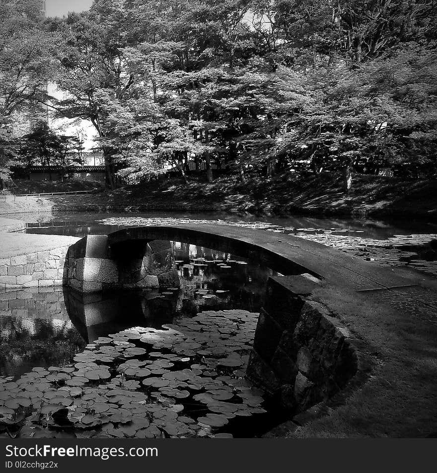 Japan Garden Tokyo Black & White