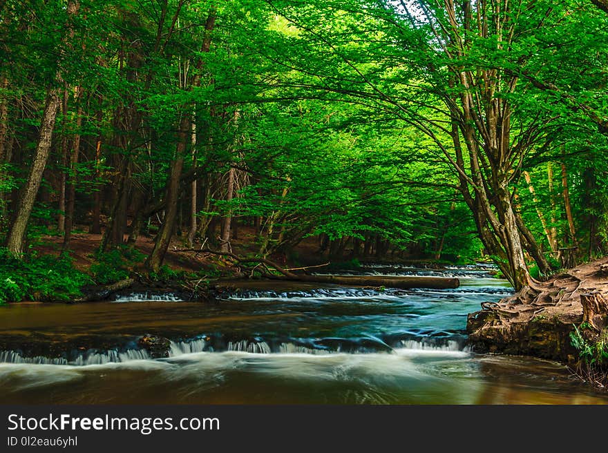 Cascade on the Tanew River in Poland