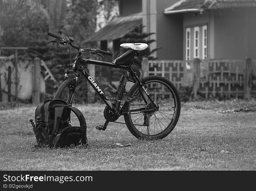 Land Vehicle, Bicycle, Black And White, Vehicle