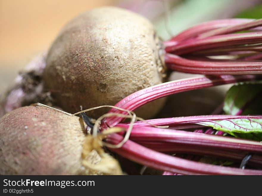 Vegetable, Local Food, Beet, Beetroot