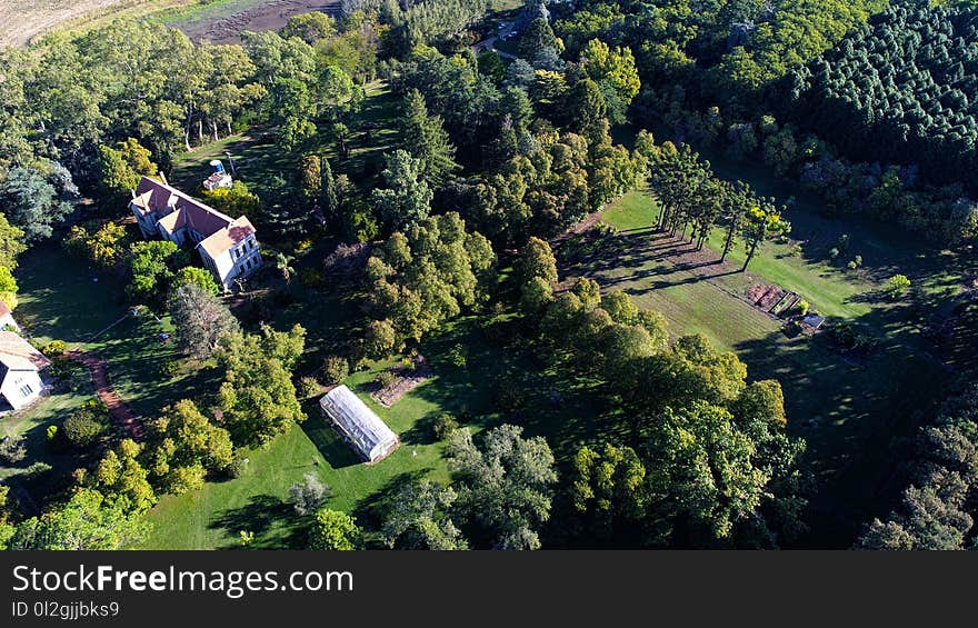 Aerial Photography, Nature Reserve, Bird's Eye View, Tree