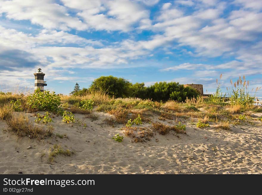 Sky, Ecosystem, Vegetation, Shrubland