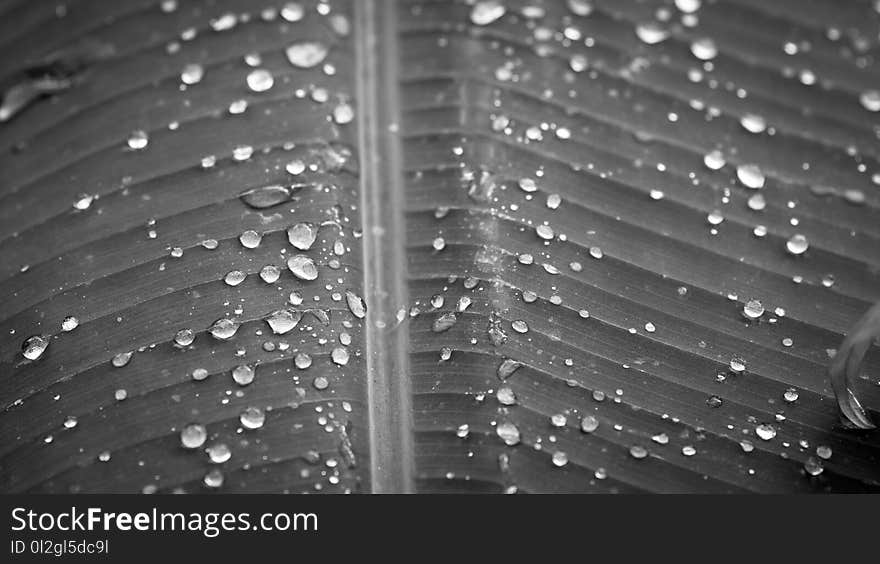 Water, Black, Black And White, Monochrome Photography