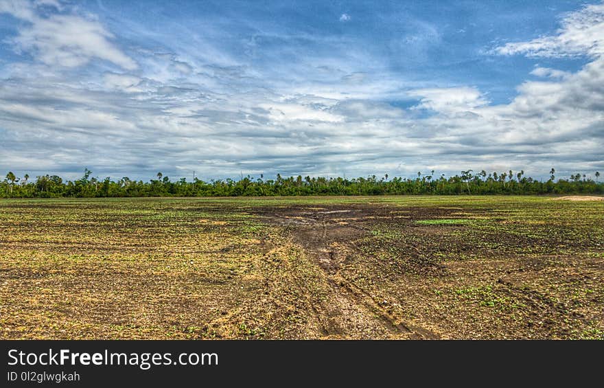 Sky, Grassland, Ecosystem, Field