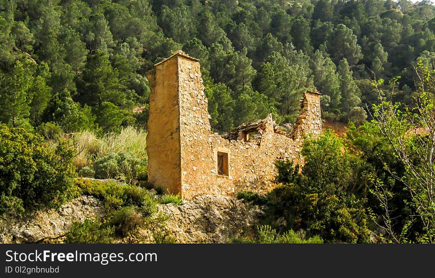 Historic Site, Ruins, Archaeological Site, Tree