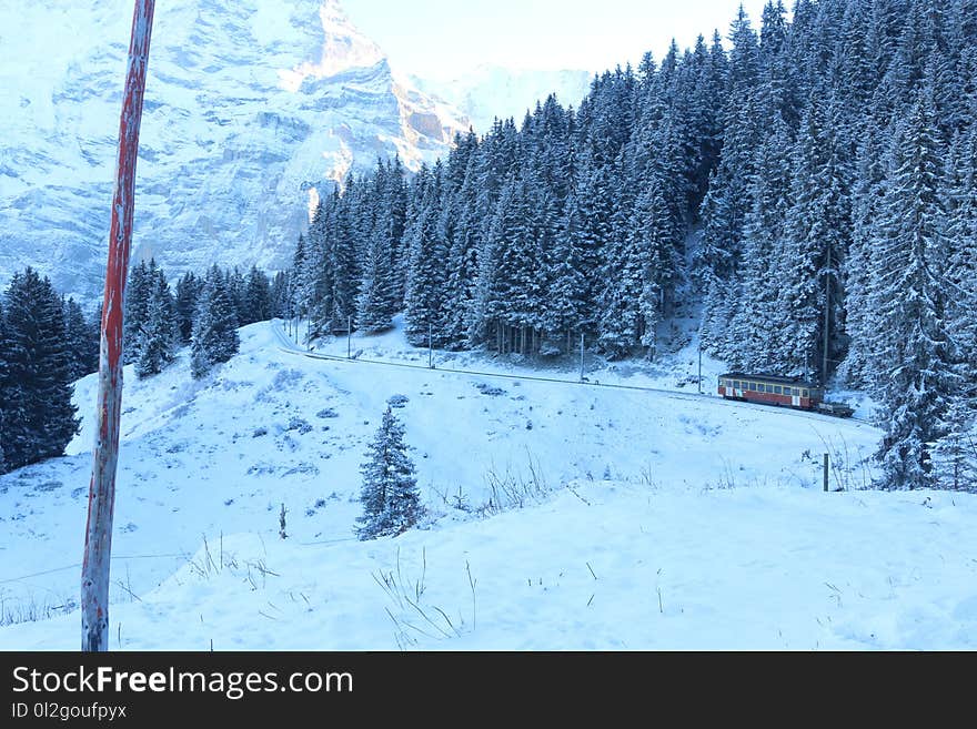 Snow, Winter, Tree, Mountain Range