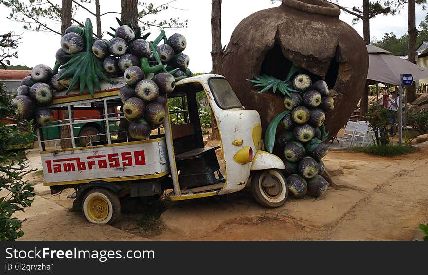 Vehicle, Mode Of Transport, Car, Tree