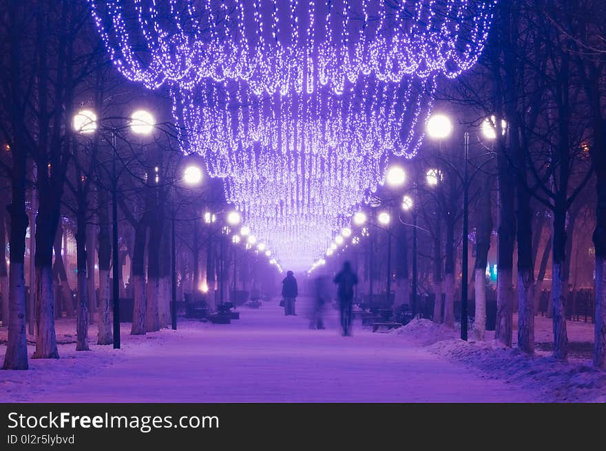 Alley of the city with illumination in winter