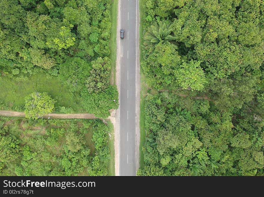 Aerial Photo of Black Vehicle on Grey Concrete Road Between Forest