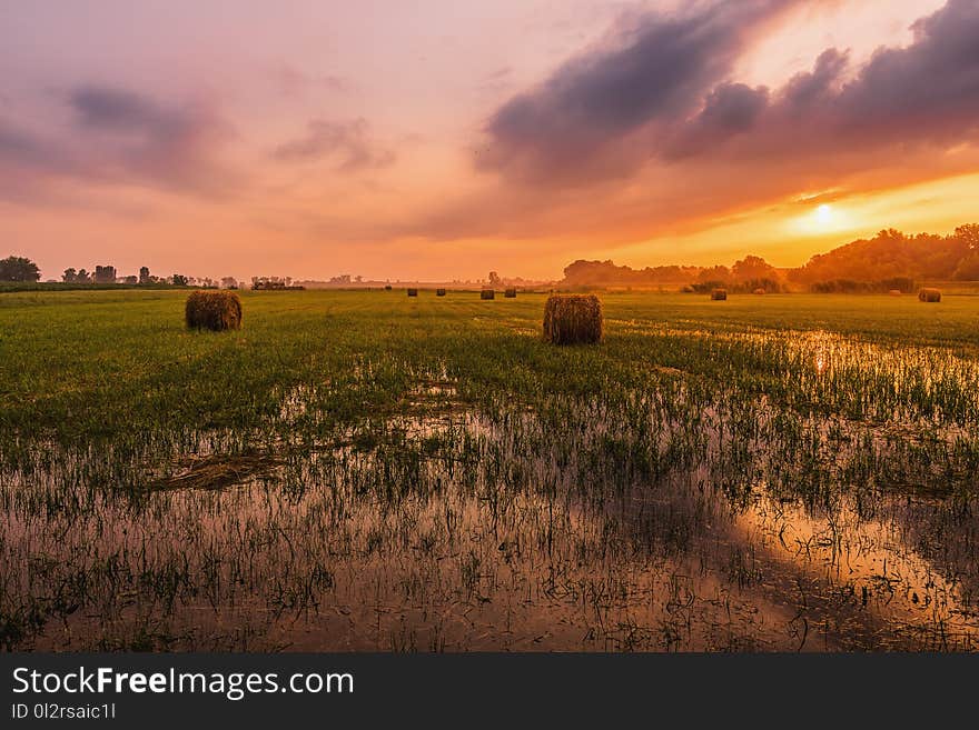 Green Grass Field