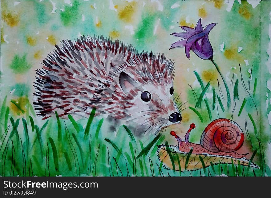 Hedgehog, Erinaceidae, Fauna, Domesticated Hedgehog