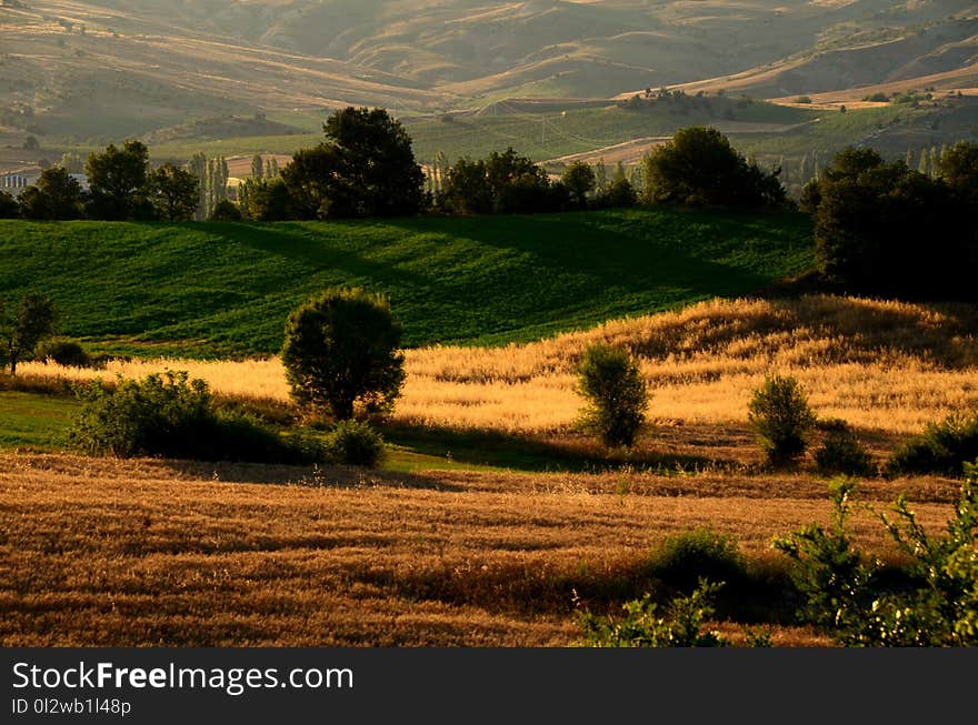 Grassland, Field, Sky, Hill