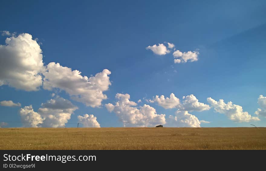 Sky, Grassland, Cloud, Ecosystem