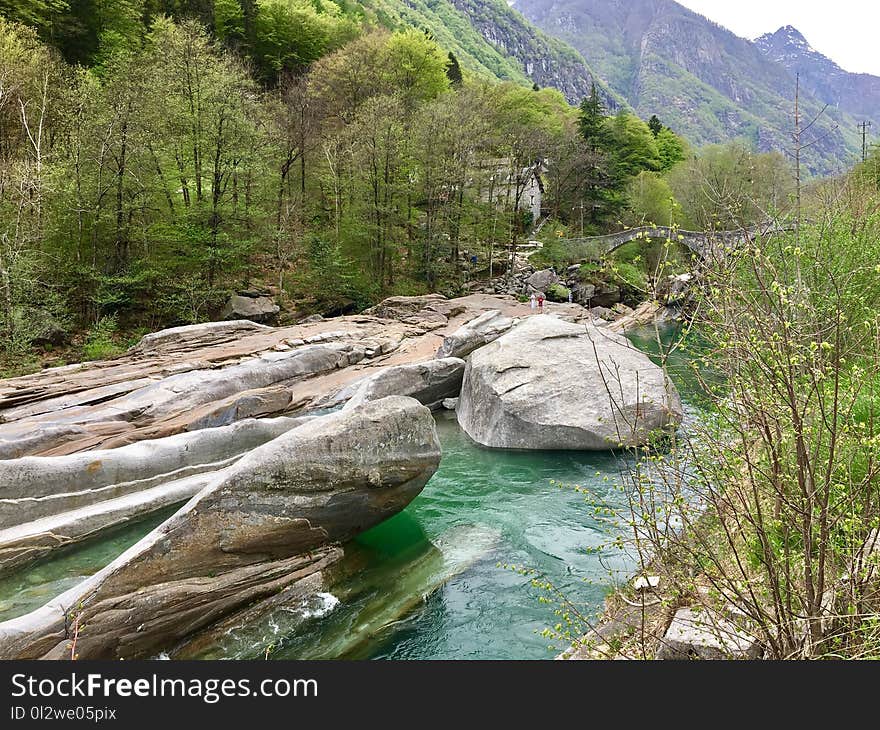 Nature Reserve, Wilderness, Stream, Water