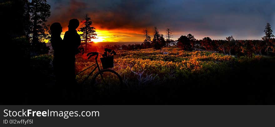 Nature, Sky, Wilderness, Tree