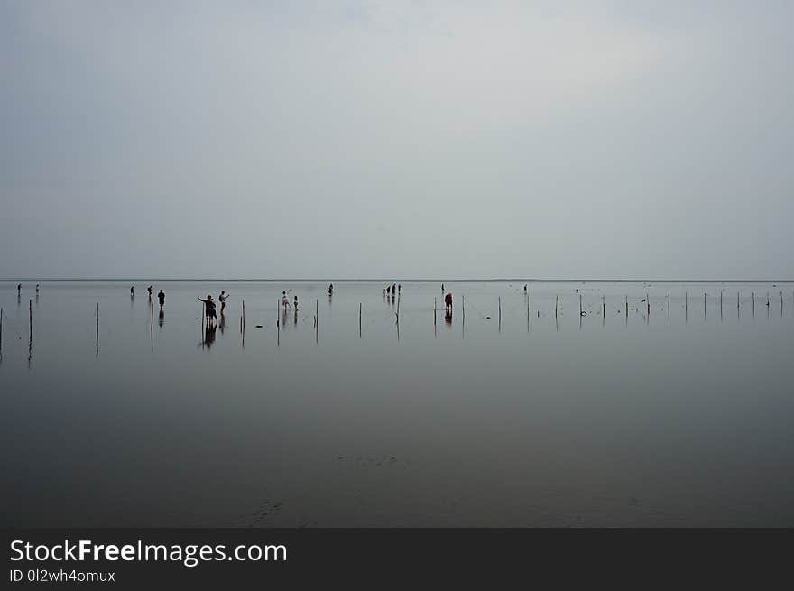 Fog, Horizon, Calm, Sky