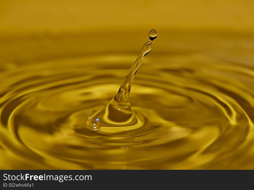 Water, Drop, Yellow, Macro Photography