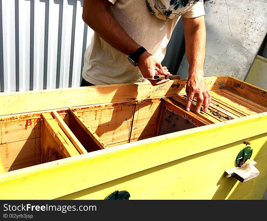 The photo shows beehive, wax honeycomb