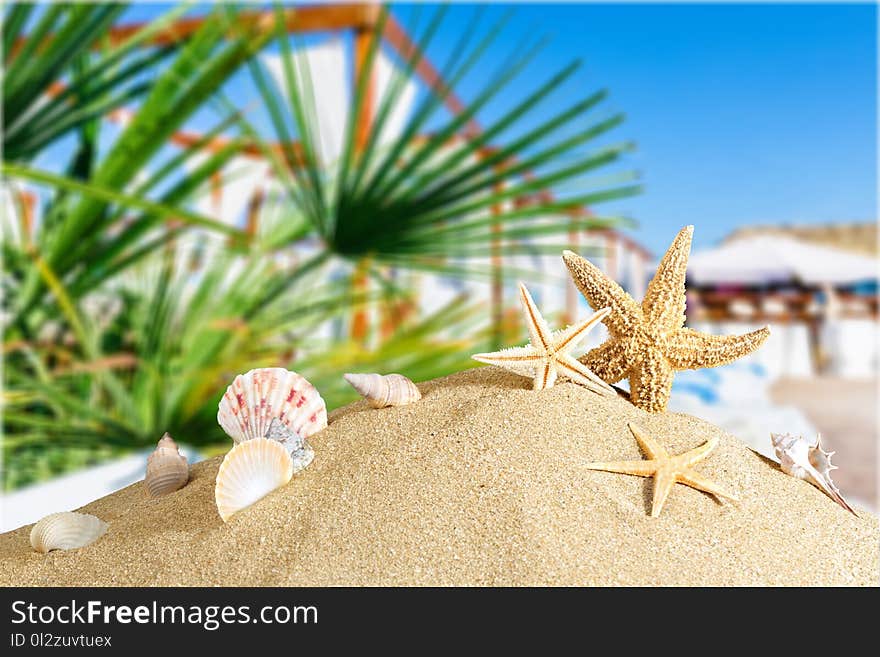 Cancun beach mexico sunlight aquatic coast nobody