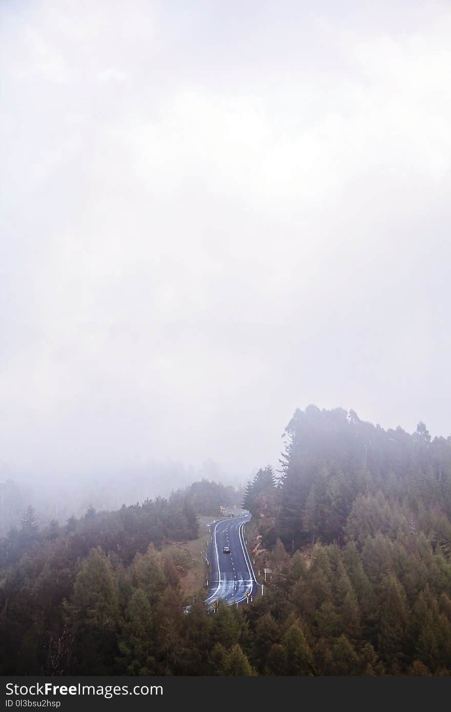 Highway in the Middle of Forest Covered in Fog