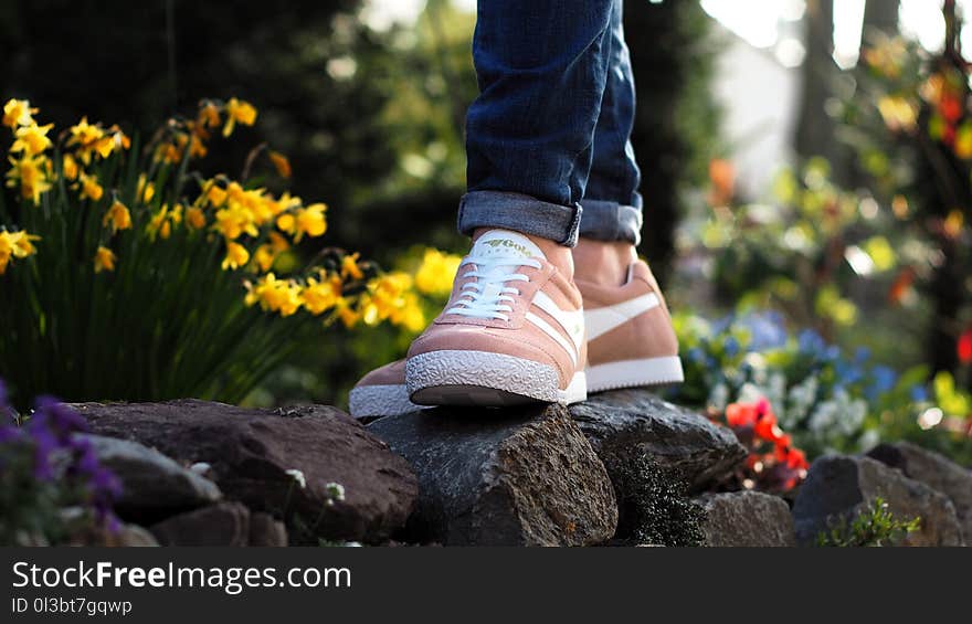 Person Wearing Pink Nike Low-top Sneakers Stepping on Stone Surrounded by Flower