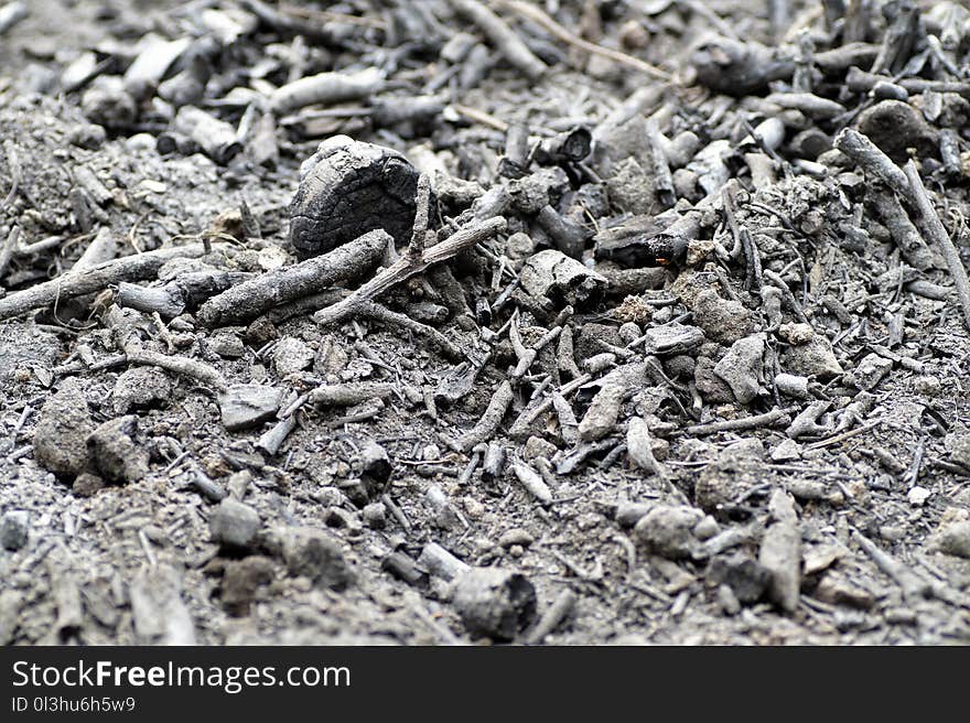 Soil