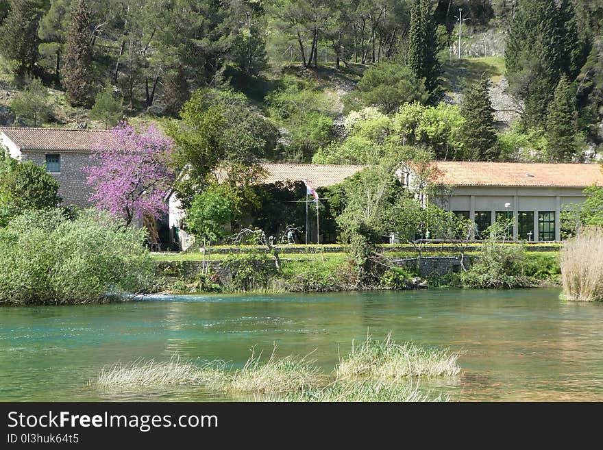 Water, Waterway, Nature Reserve, Vegetation