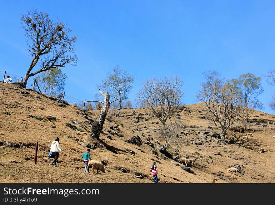 Ecosystem, Sky, Wilderness, Mountainous Landforms