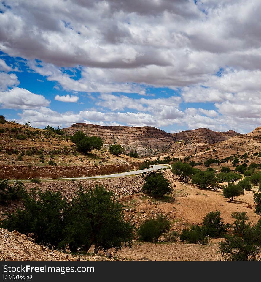 Sky, Cloud, Ecosystem, Wilderness