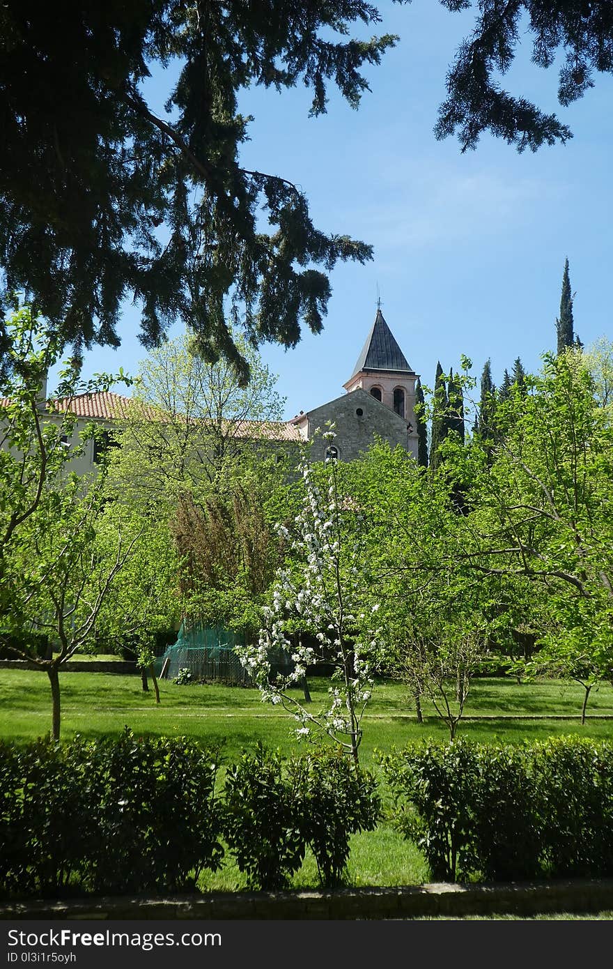 Nature, Tree, Leaf, Estate