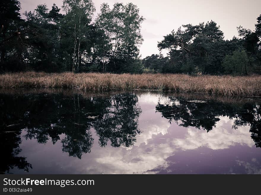 Reflection, Water, Nature, Sky