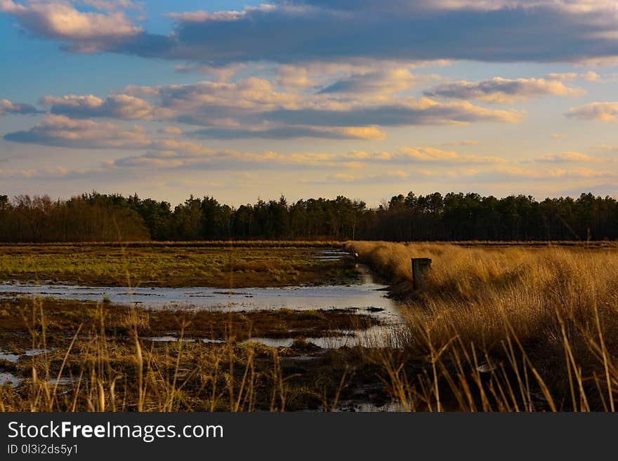 Reflection, Wetland, Sky, Marsh