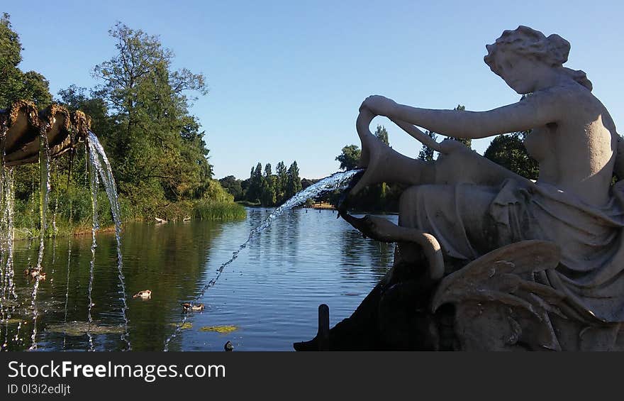 Water, Tree, Statue, Plant