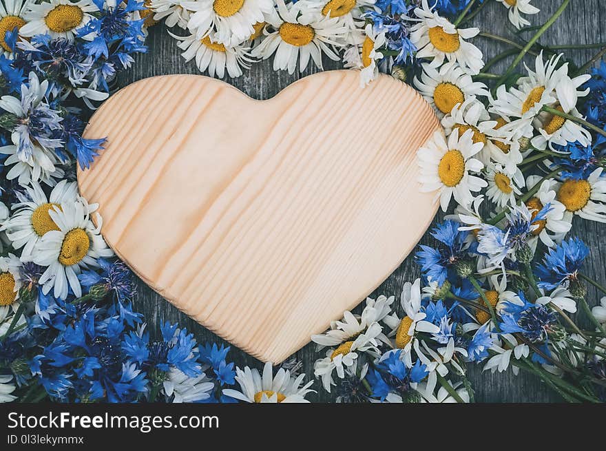 Wildflowers chamomile and cornflowers background with copy space for text in the form of heart.