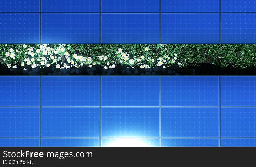 Rows of solar panels above a grassy field of wild flowers. Rows of solar panels above a grassy field of wild flowers