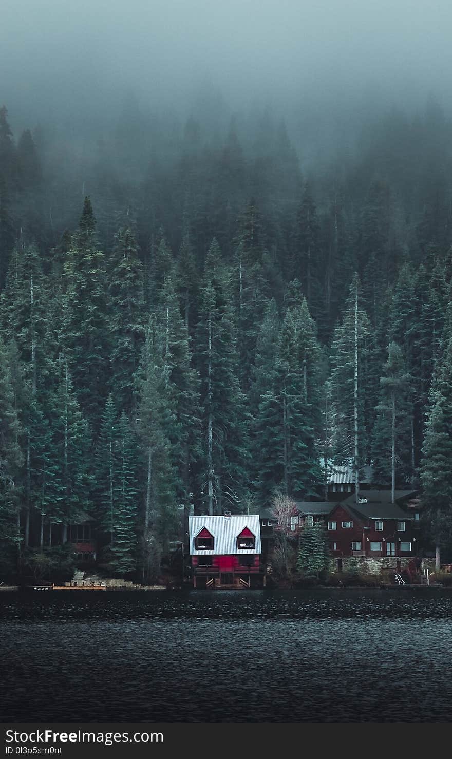 White and Red Wooden Cabin Near Forest