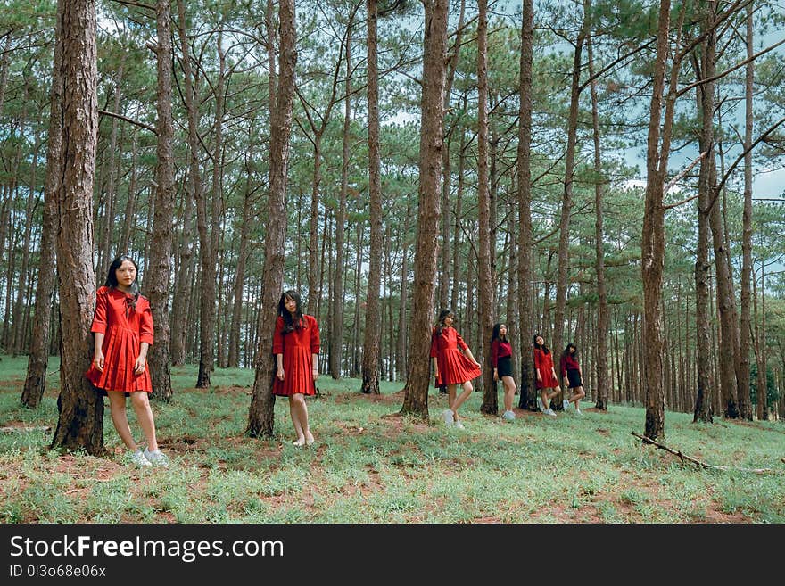 Group of Woman Wearing Red Dress