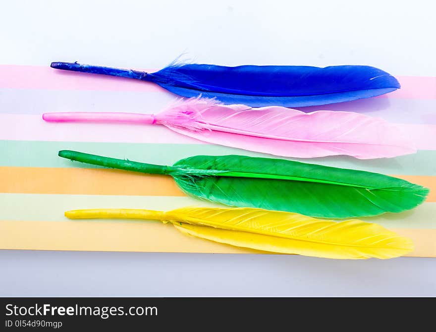 Collection of bright colored feathers on a colorful background