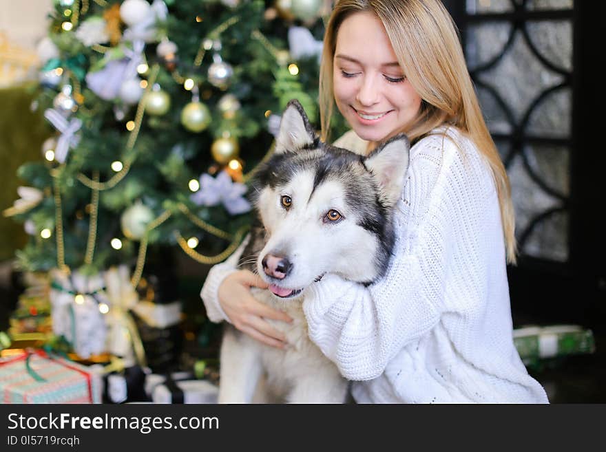 Portrait of caucasian woman with malamute, Christms tree in background.