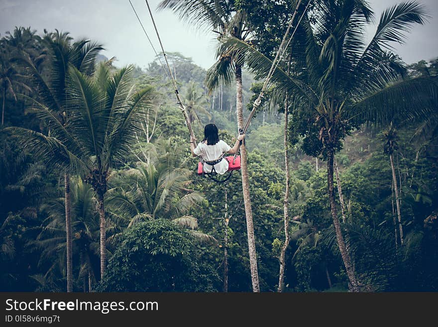 Woman Sitting on Swing