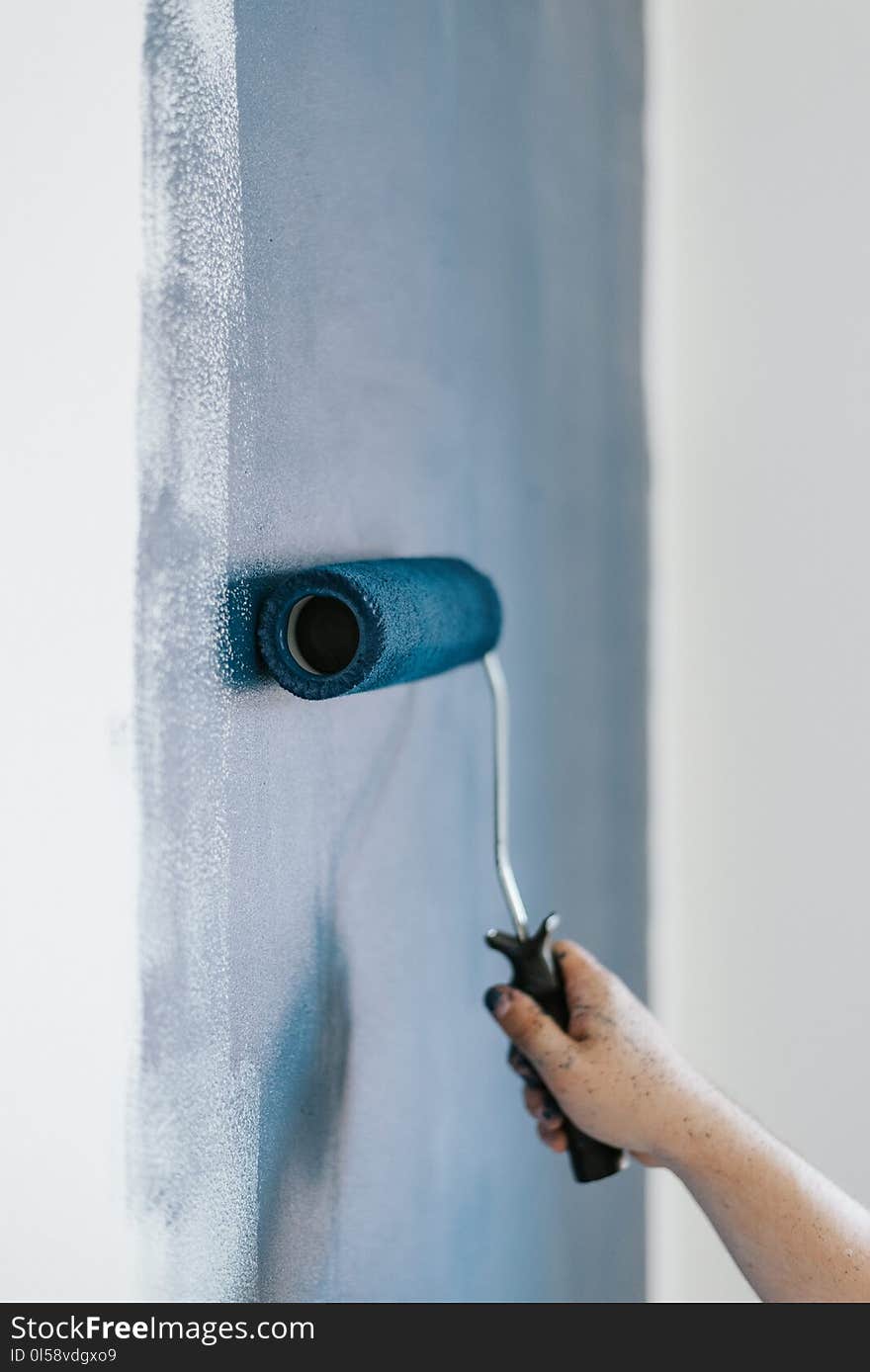 Blue Paint Roller